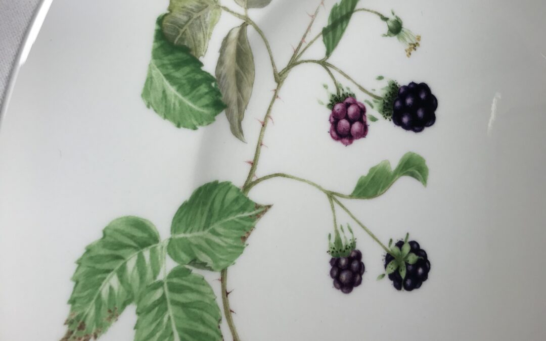 Villeroy & Boch Porzellan Wildberries Kaffeeservice, Essteller, Schüssel & Sauciere