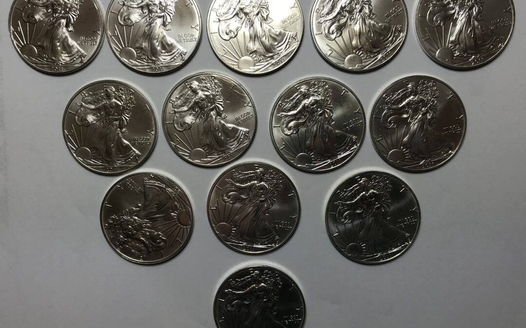 13x 1 Oz / 1 Unze American Silver Eagle 999 Silber Münze 2011 USA