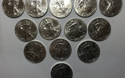 13x 1 Oz / 1 Unze American Silver Eagle 999 Silber Münze 2011 USA
