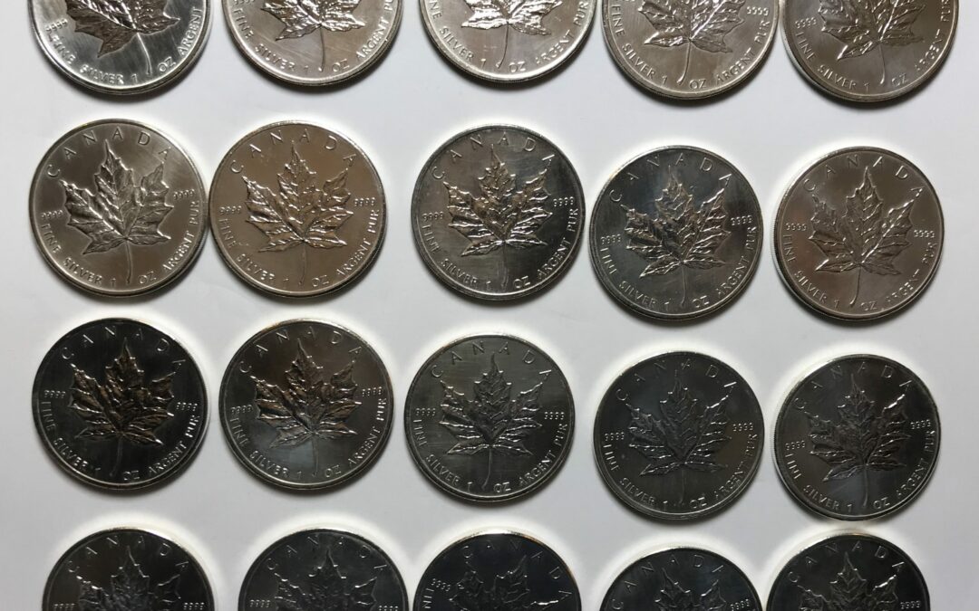 20x 1 Oz / 1 Unze 5 Dollar Maple Leaf Canada 2008 Silber Münze