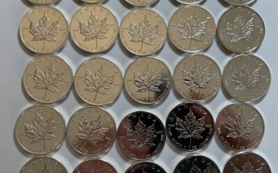 25x 1 Oz / 1 Unze 5 Dollar Maple Leaf Canada 2009 Silber Münze