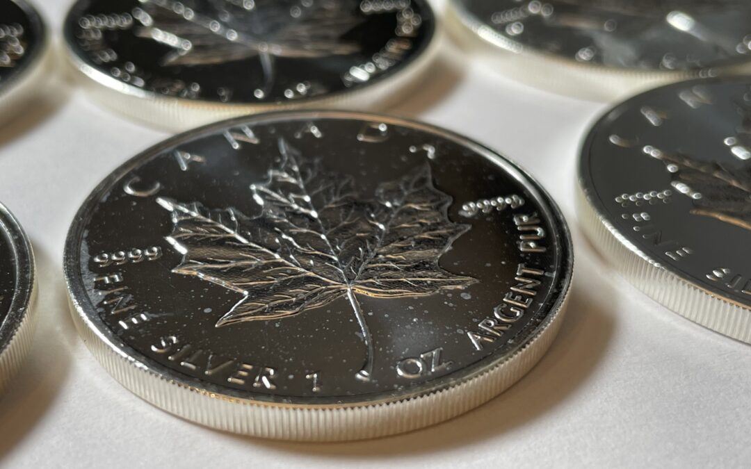 25x 1 Oz / 1 Unze 5 Dollar Maple Leaf Canada 2009 Silber Münze