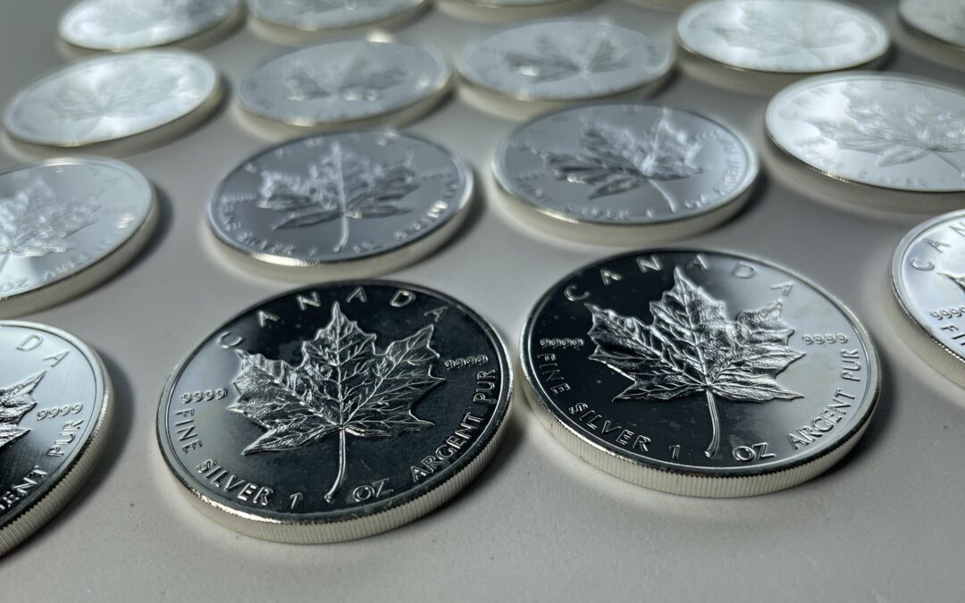 25x 1 Oz / 1 Unze 5 Dollar Maple Leaf Canada 2009 Silber Münze