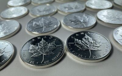 25x 1 Oz / 1 Unze 5 Dollar Maple Leaf Canada 2009 Silber Münze