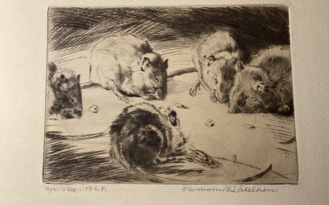 Kätelhön Hermann 1884-1940 Radierung Mäuse / Feldmäuse 1924
