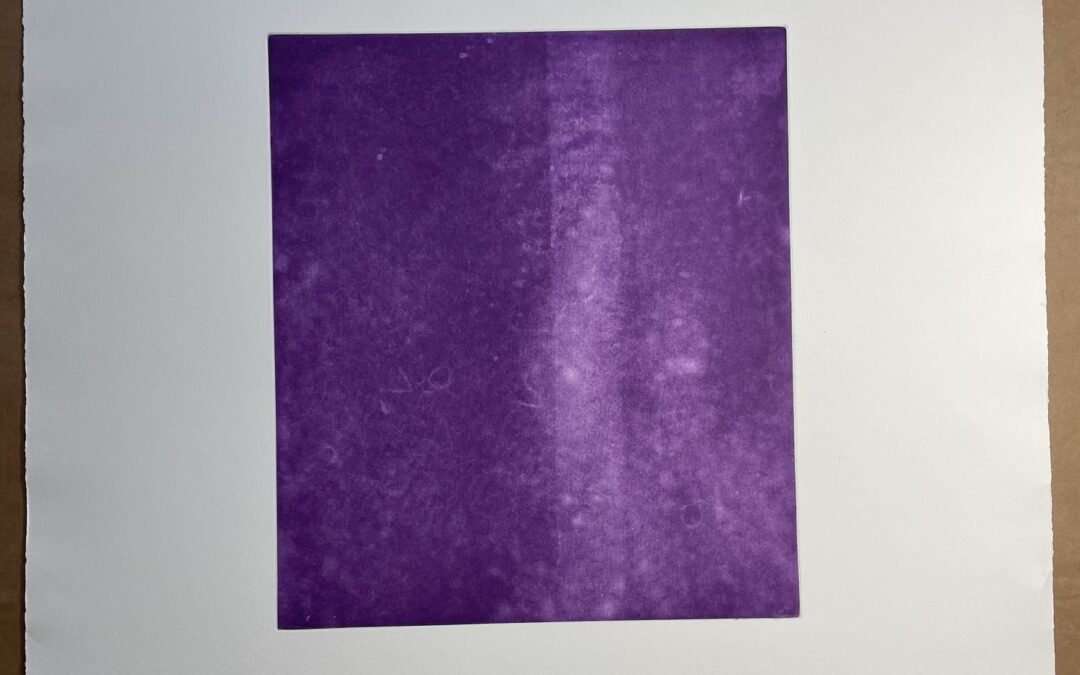 Rosemarie Trockel *1952 Heliogravur Für Freunde und Förderer IV 2004