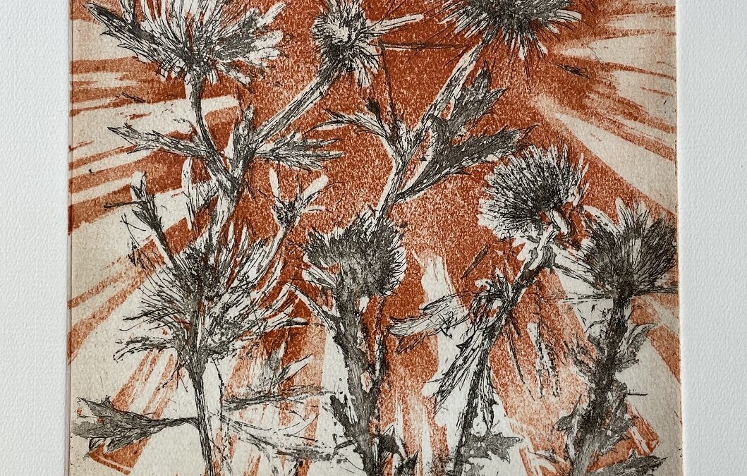 Christine Steuernagel *1945 Paderborn Radierung Blumen Disteln 1987